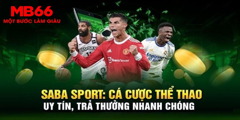 Nhận định chung về chất lượng tại Saba sport MB66
